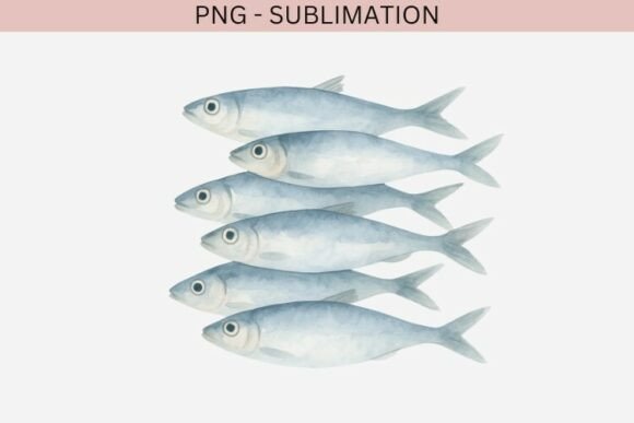 Download Sardines Png Design for T-shirts - Premium Resources